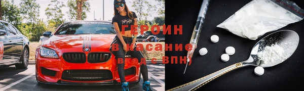 индика Арсеньев