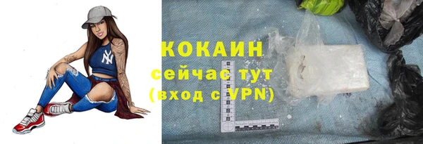 СК Протвино