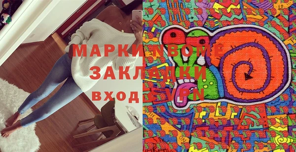 индика Арсеньев