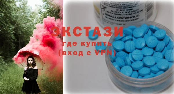 индика Арсеньев
