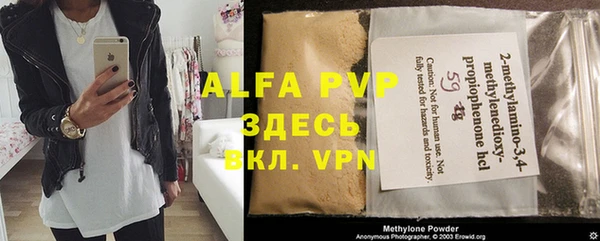 индика Арсеньев