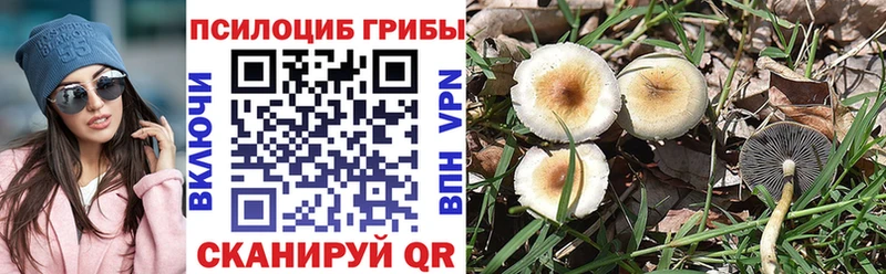 купить наркотики сайты  Фатеж  Галлюциногенные грибы прущие грибы 