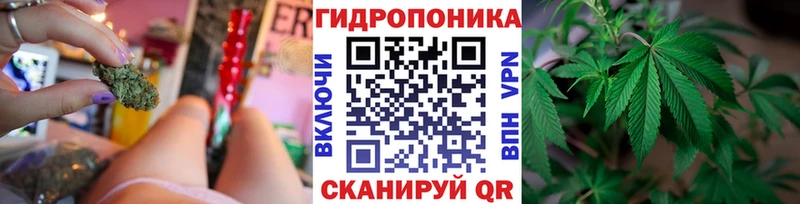 Бошки марихуана сатива площадка телеграм Фатеж